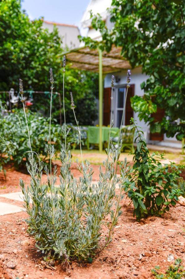 Gaia Residence Hersonissos  Exteriér fotografie